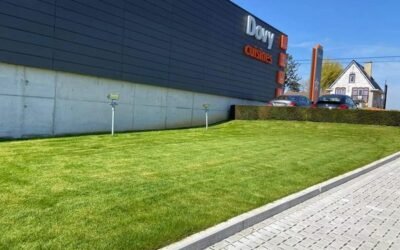 Tonte de gazon et nettoyage des abords et parking chez Cuisines Dovy à Ath